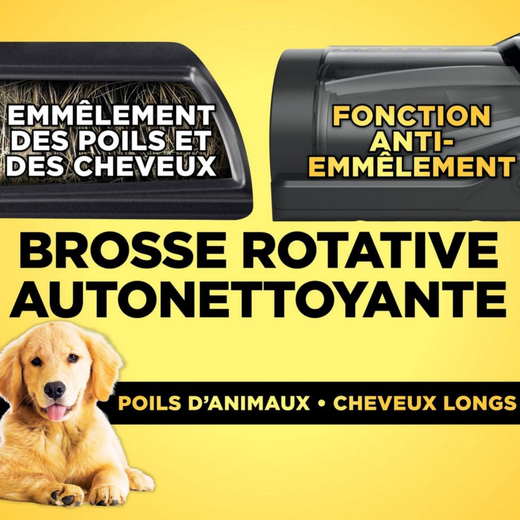 Aspirateur sans fil Shark Detect Clean & Empty IW3612AMZEU, blanc, 240 W, 2 litres