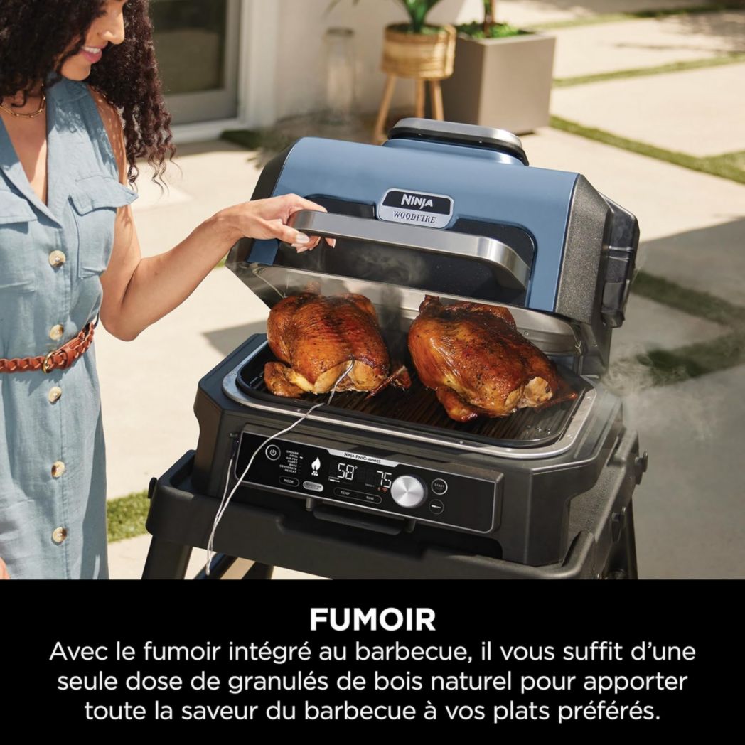 Barbecue et fumoir électrique Ninja Woodfire Pro XL avec thermomètre, barbecue d'extérieur 4 en 1 et friteuse à air avec système de cuisson intelligent et granulés de bois, portable, gris/noir, OG850EU