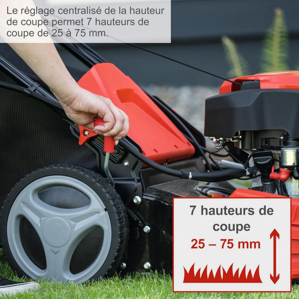Tondeuse hybride Scheppach MS225-53E – Moteur 4 temps 224 cm³ / 6 CV – 4 400 W – Largeur de coupe 53 cm – Démarrage électrique – Bac de ramassage 65 L – Batteries, chargeurs, huile inclus