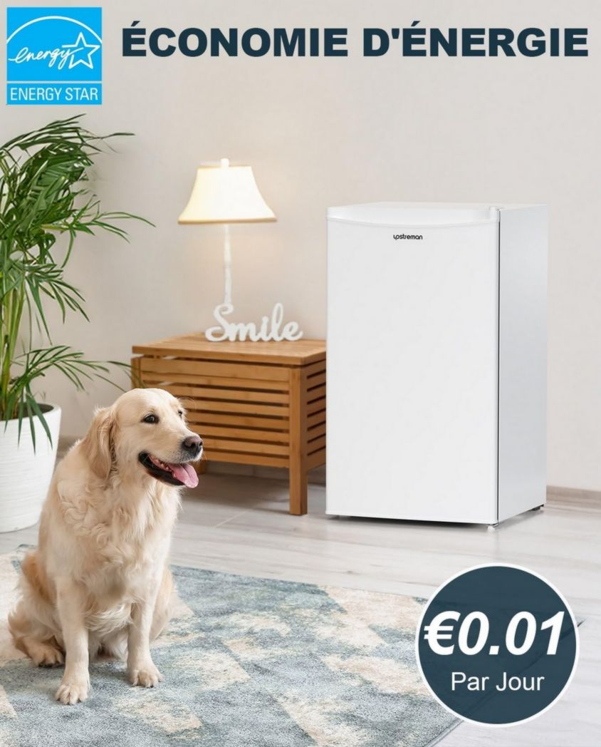 Mini-réfrigérateur Upstreman 91 L avec congélateur, thermostat réglable, pour petite pièce, réfrigérateur haut de gamme pour dortoir, bureau, blanc - BR321