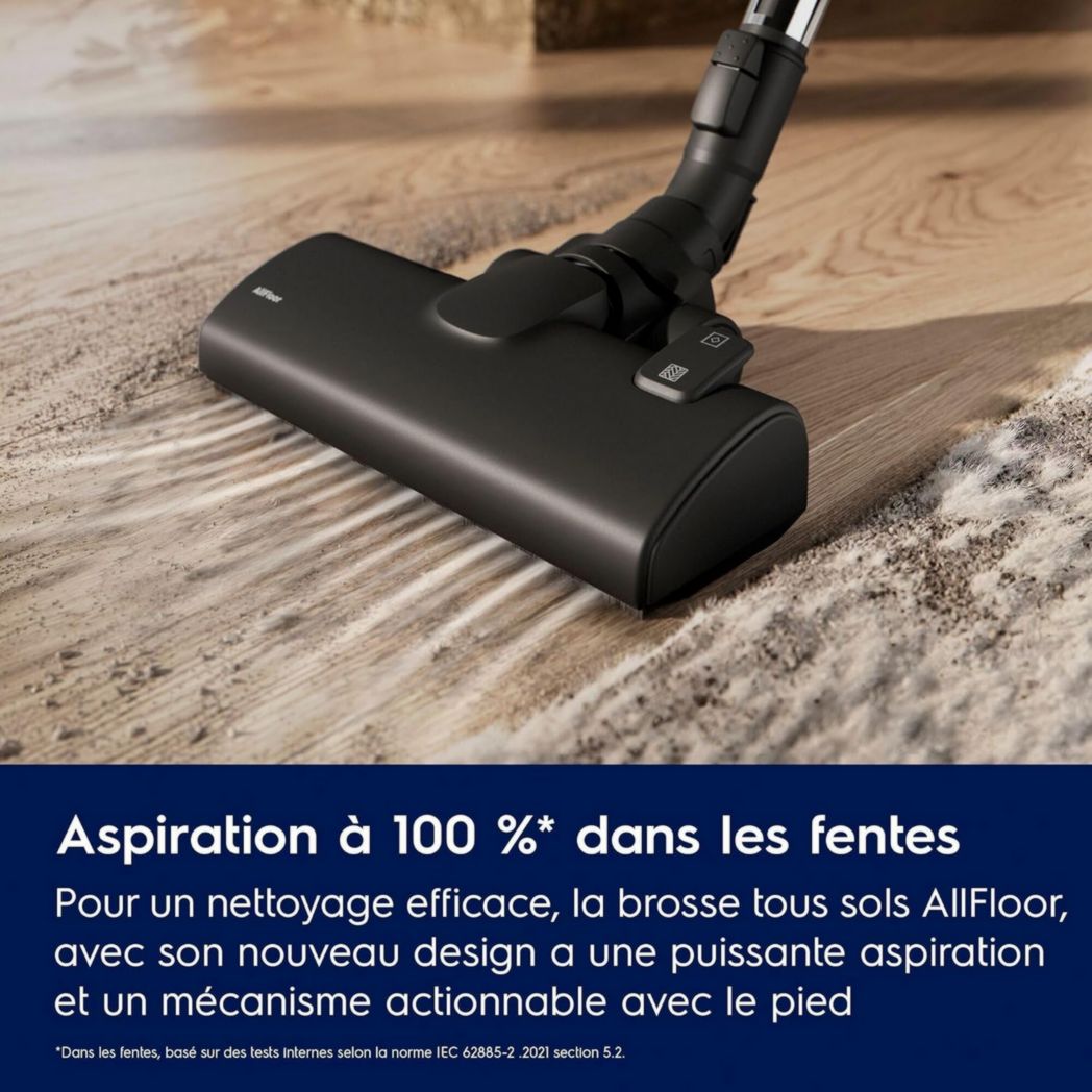 Electrolux Animal 600, aspirateur traîneau sans sac, accessoires pour poils d'animaux, filtration en 6 étapes, gain de place, technologie cyclonique, 55 % de matériaux recyclés, EL61A4UG, gris