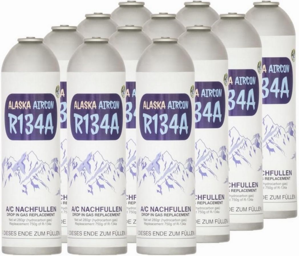 Alaska@ R134a Lot de 12 bouteilles de gaz de remplacement pour climatiseurs pour professionnels et entreprises