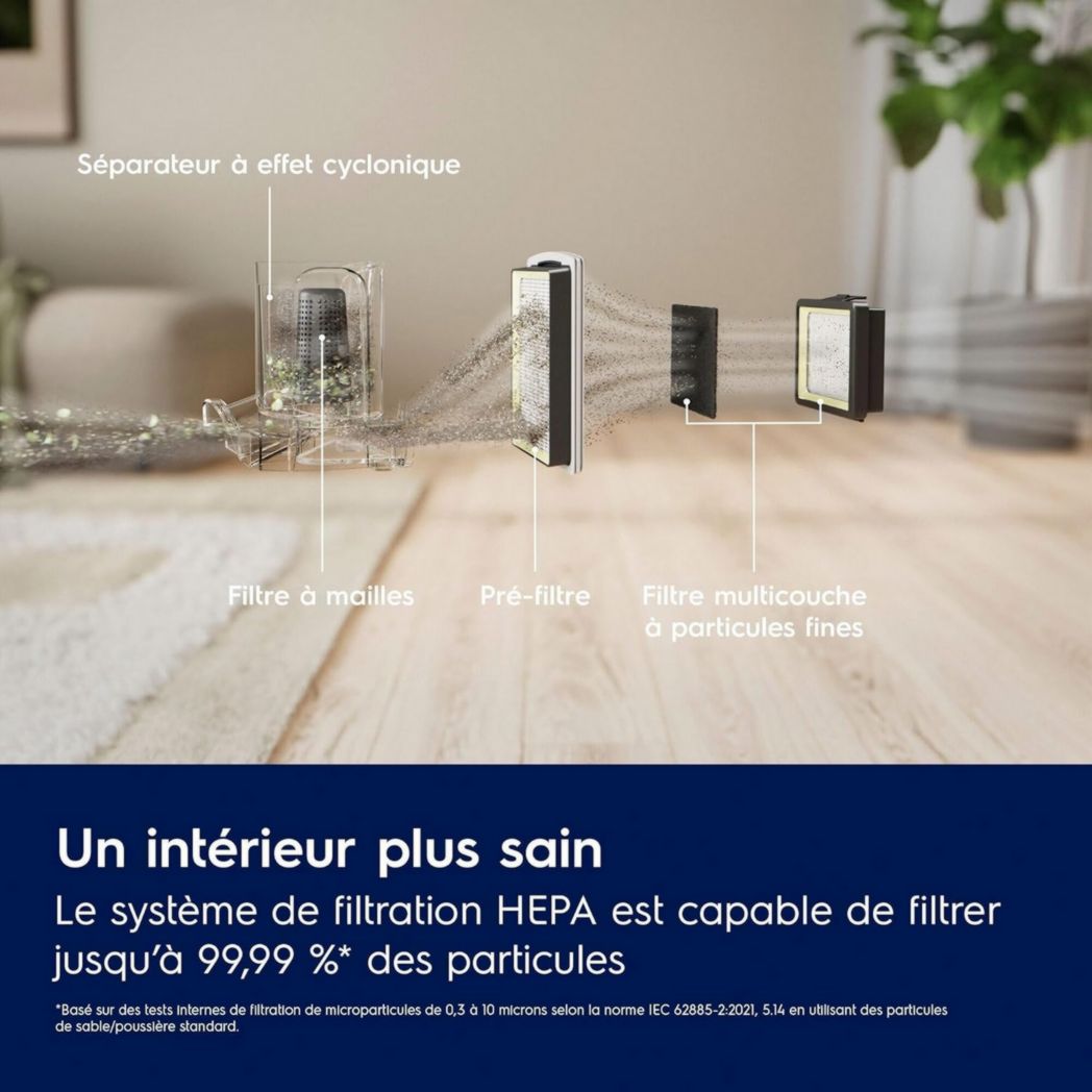 Electrolux Animal 600, aspirateur traîneau sans sac, accessoires pour poils d'animaux, filtration en 6 étapes, gain de place, technologie cyclonique, 55 % de matériaux recyclés, EL61A4UG, gris