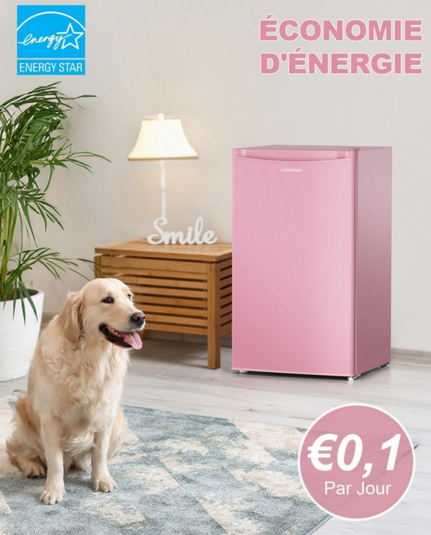 Mini-réfrigérateur Upstreman 91 L avec congélateur, thermostat réglable, pour petite pièce, réfrigérateur haut de gamme pour dortoir, bureau, blanc - BR321