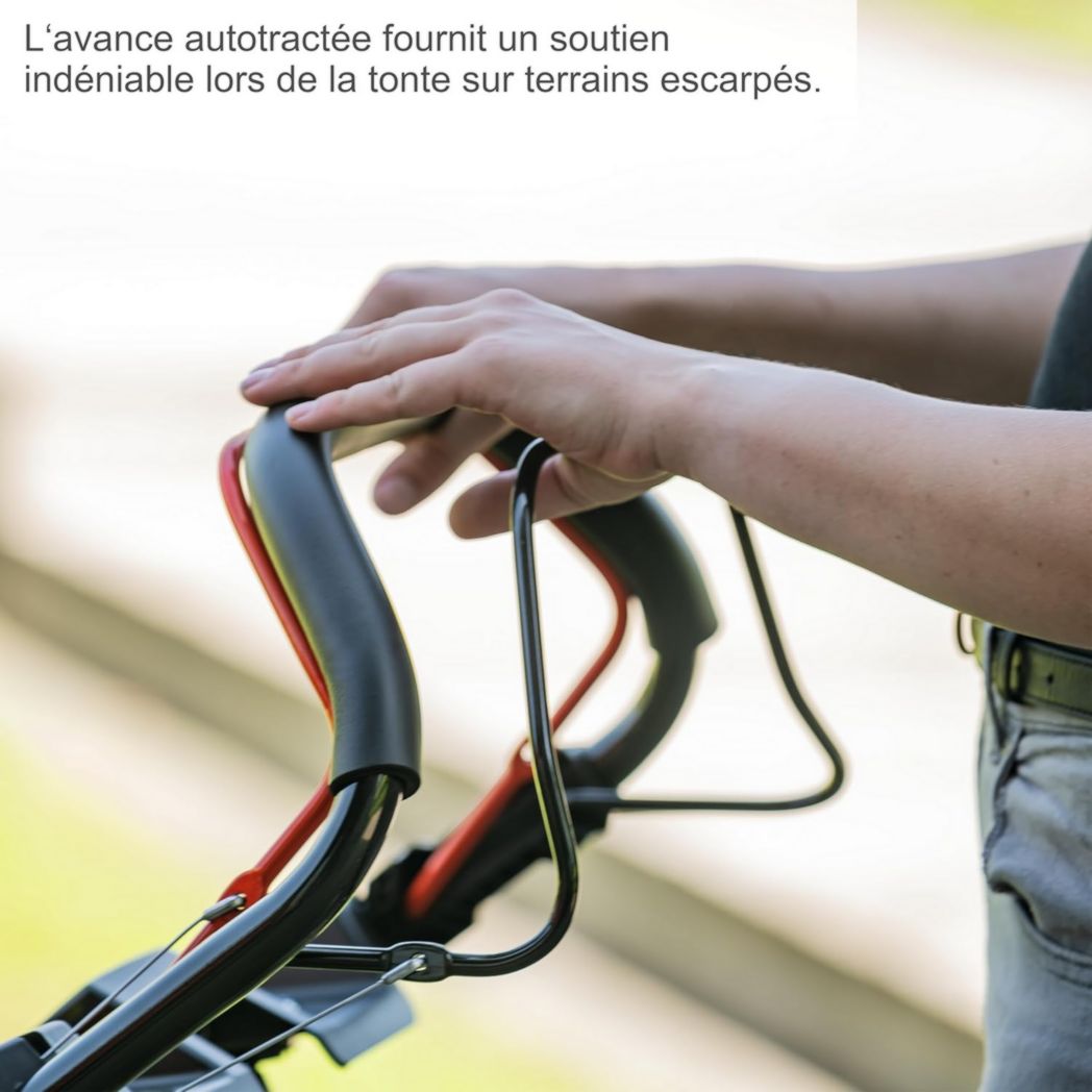 Tondeuse hybride Scheppach MS225-53E – Moteur 4 temps 224 cm³ / 6 CV – 4 400 W – Largeur de coupe 53 cm – Démarrage électrique – Bac de ramassage 65 L – Batteries, chargeurs, huile inclus