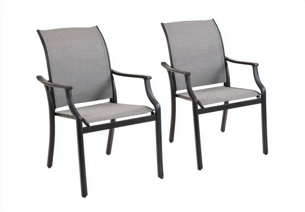 Lot de 2 chaises de jardin à dossier gris et structure noire