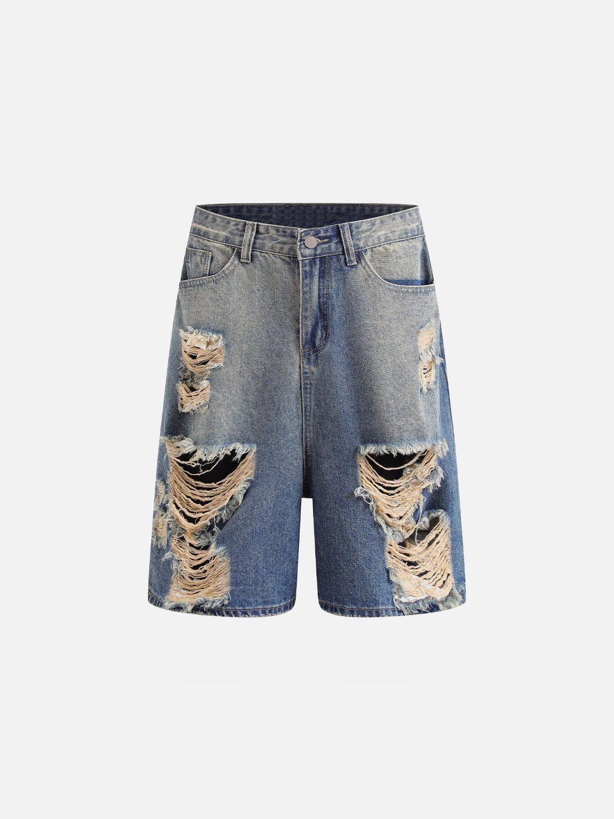 TALISHKO Multi Distressed Jorts