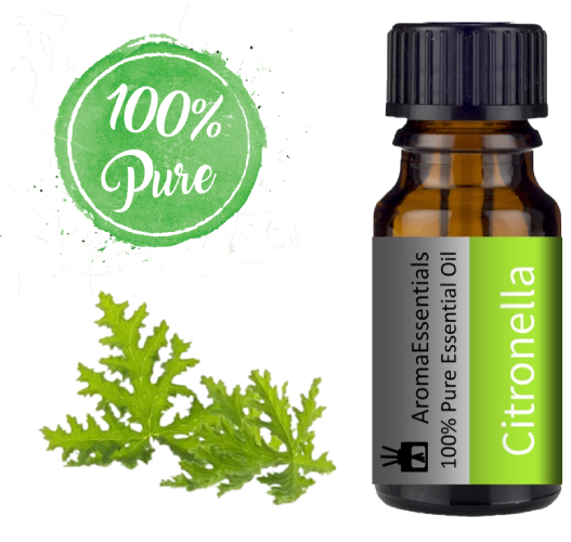 Citronella Essential Oil