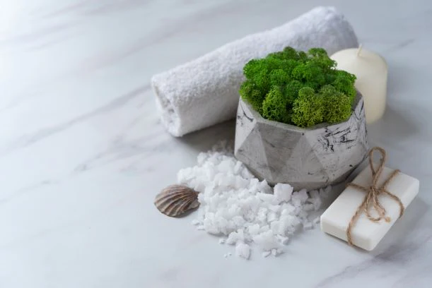 Sea Moss Soap with Natural Oatmeal