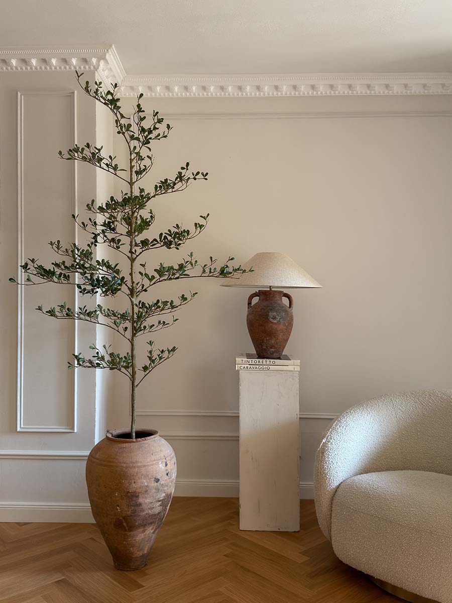 Schwarzer Olivenbaum