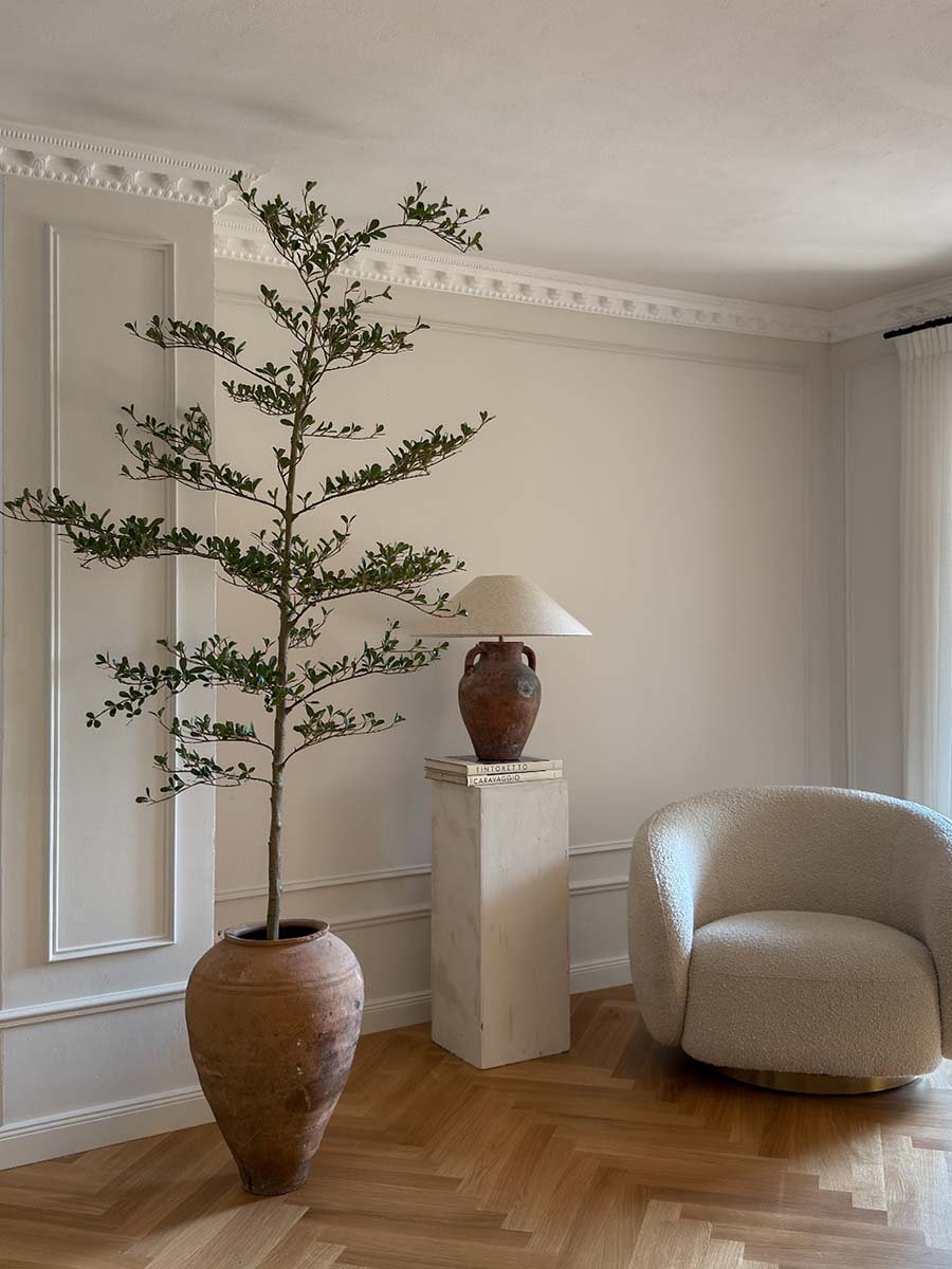 Schwarzer Olivenbaum